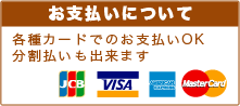 各種カードでのお支払いOK