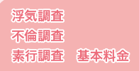 浮気調査・不倫調査・素行調査